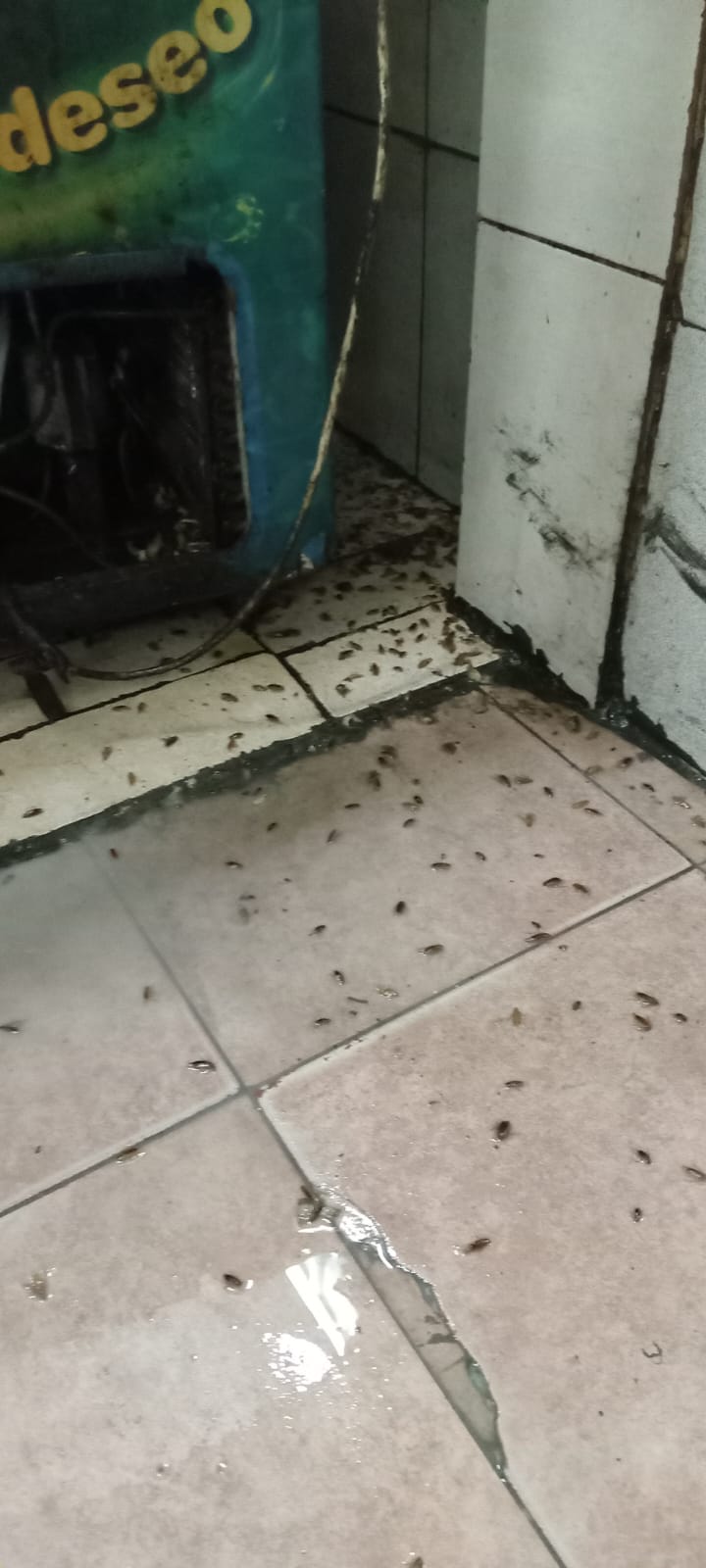 Trabajo completado