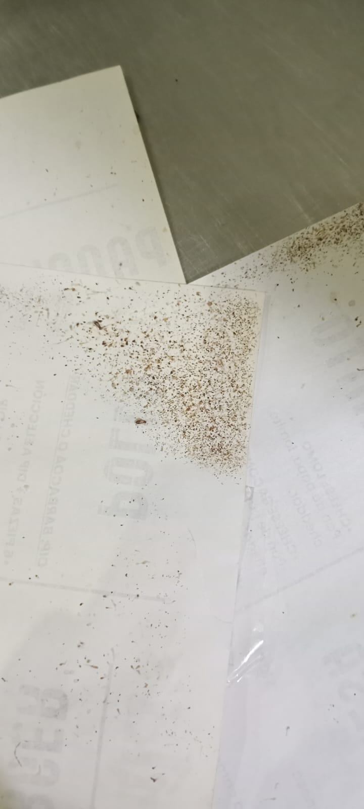 Trabajo completado