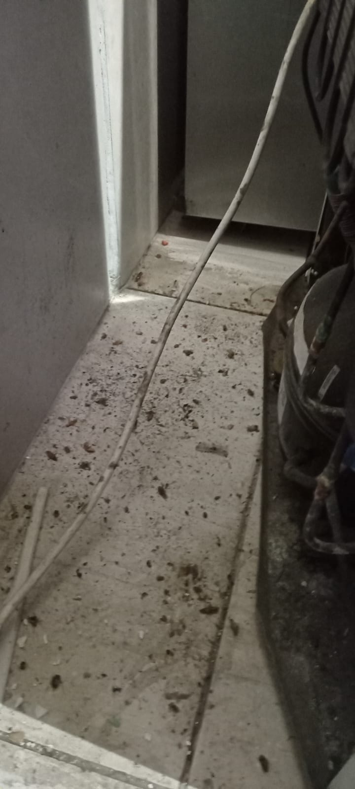 Trabajo completado